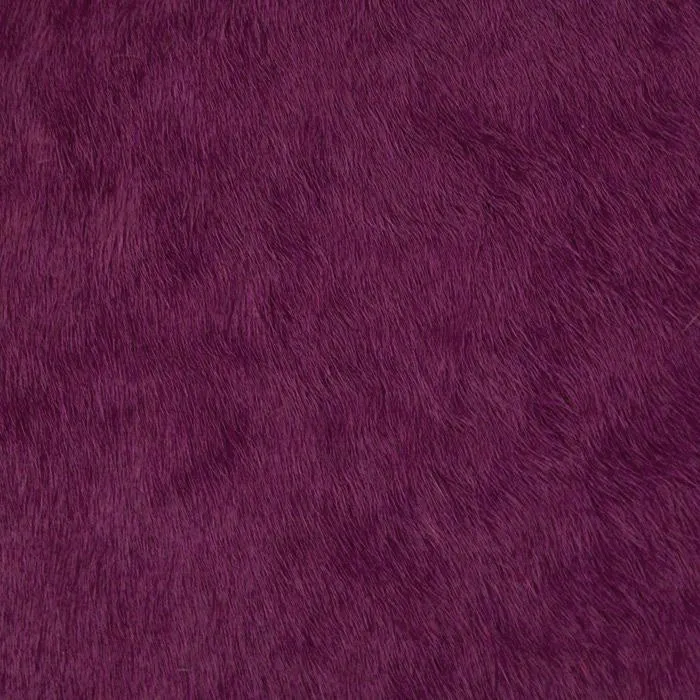 Purple Hair Don’t Care