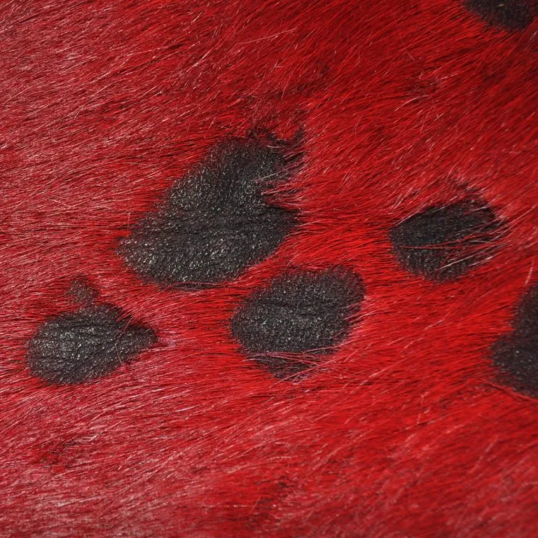 Fire Red & Black