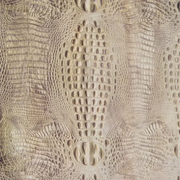 Beige / Taupe