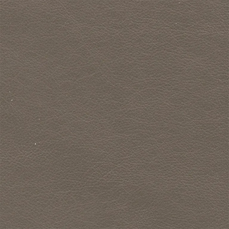 Fossil
