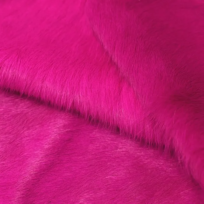 Fabulous Fuchsia