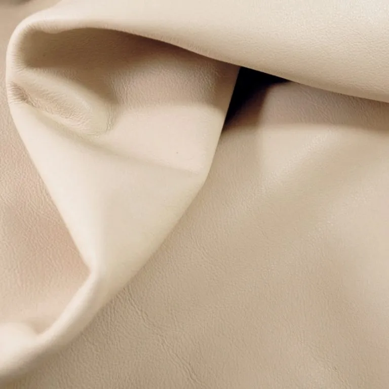 Notion of Nude