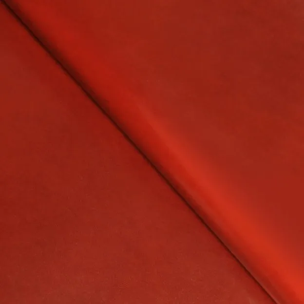 Red Carpet