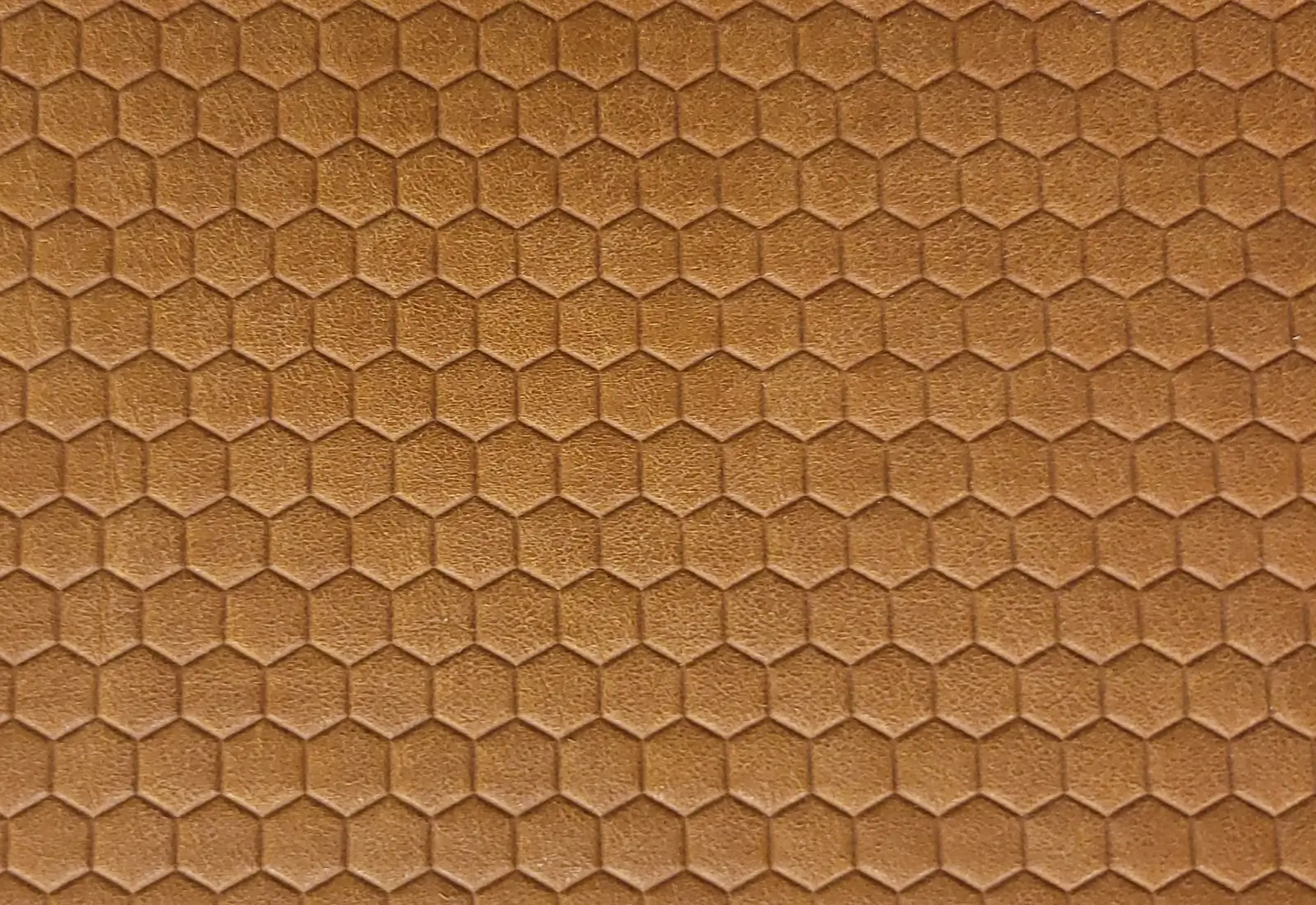 Bees Knees(PM) (2)