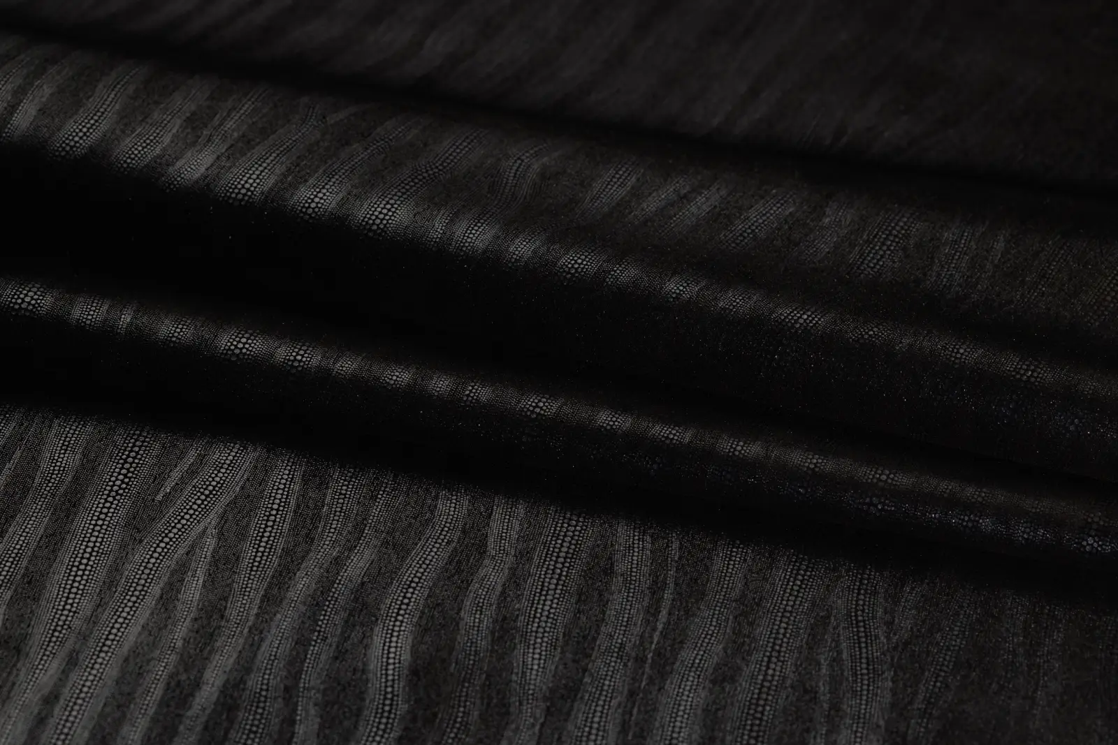 Dazzle Eel Black Pearl